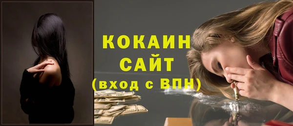 стаф Новодвинск