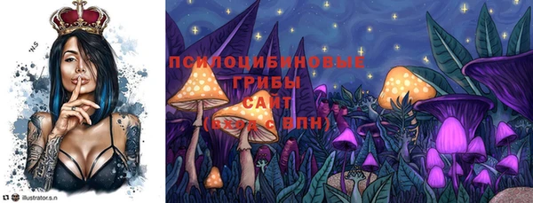 стаф Новодвинск