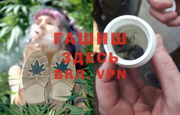 стаф Новодвинск