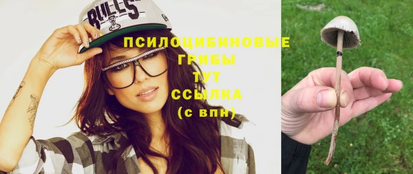 стаф Новодвинск