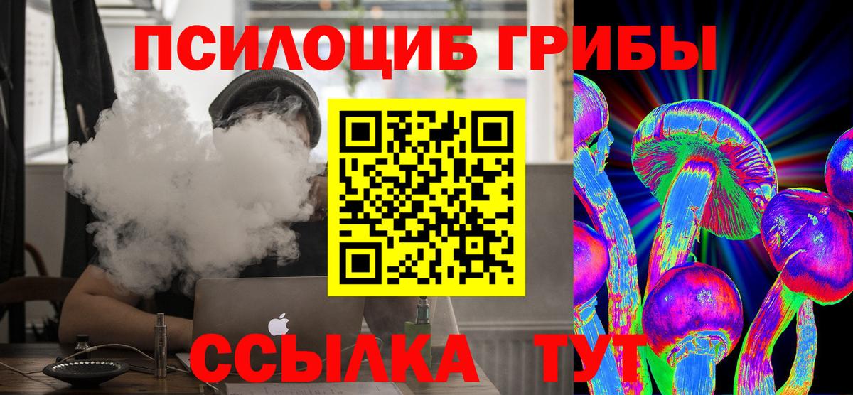 Галлюциногенные грибы Magic Shrooms Тула