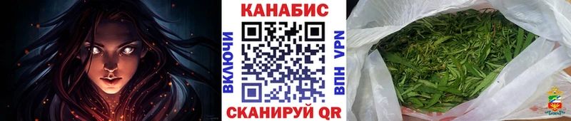 Конопля сатива  Тула 