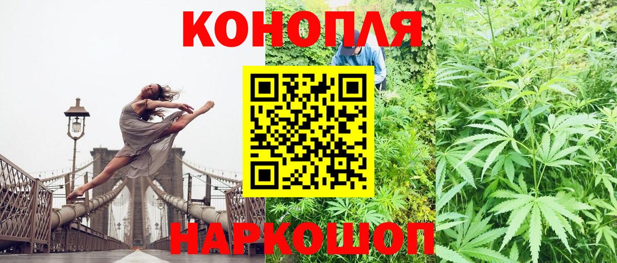 Канабис гибрид  Бошки Шишки OG Kush  Тула  Вход с VPN  Бошки Шишки OG Kush 